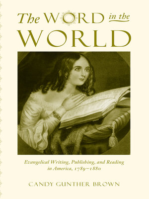 cover image of The Word in the World